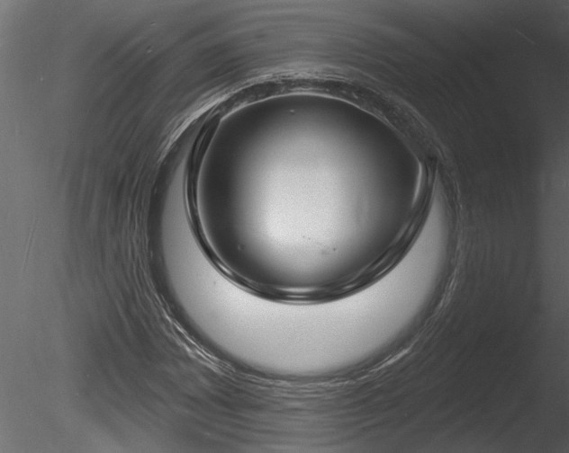 X0000085281065200703161417