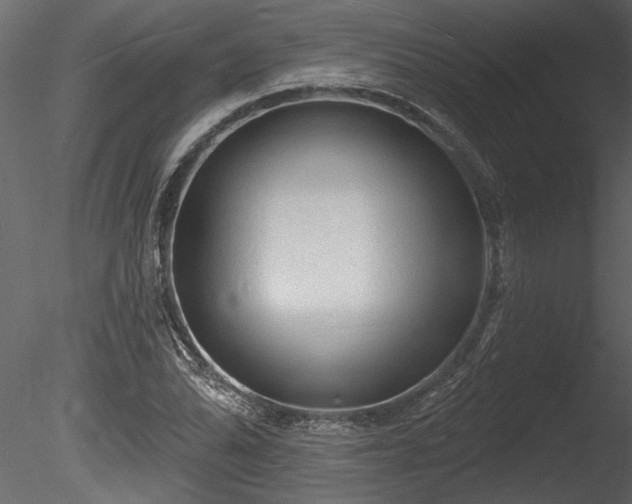 X0000085281070200703161417