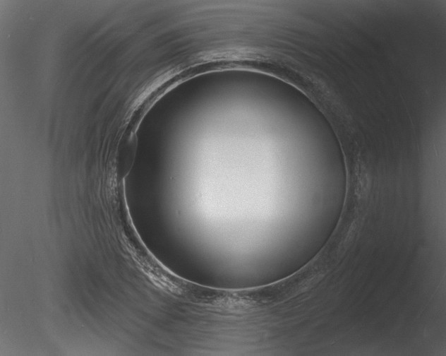 X0000085281073200703161417