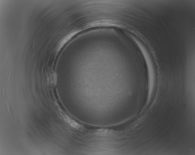 X0000085281081200703161417