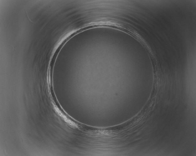 X0000085281084200703161417