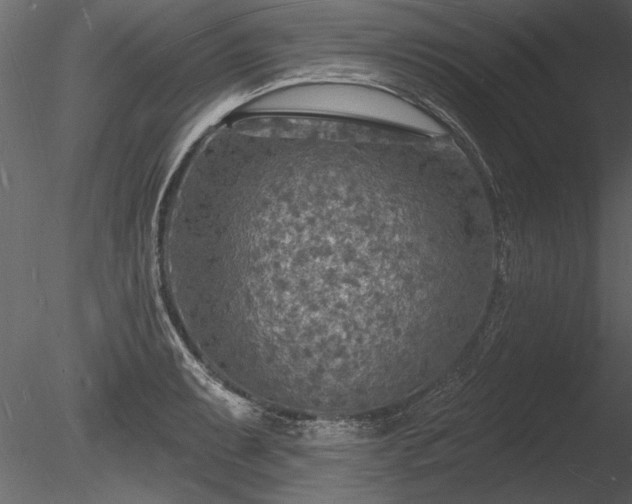 X0000085281087200703161417