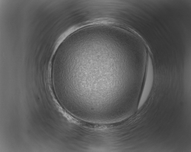 X0000085281099200703161417