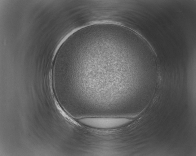 X0000085281100200703161417