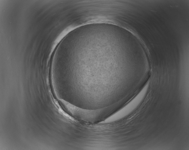 X0000085281102200703161416
