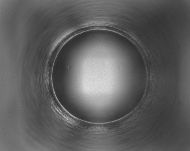 X0000085281119200703161416