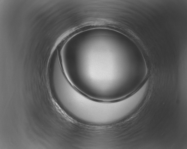 X0000085281122200703161416