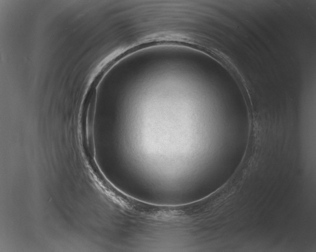 X0000085281133200703161416