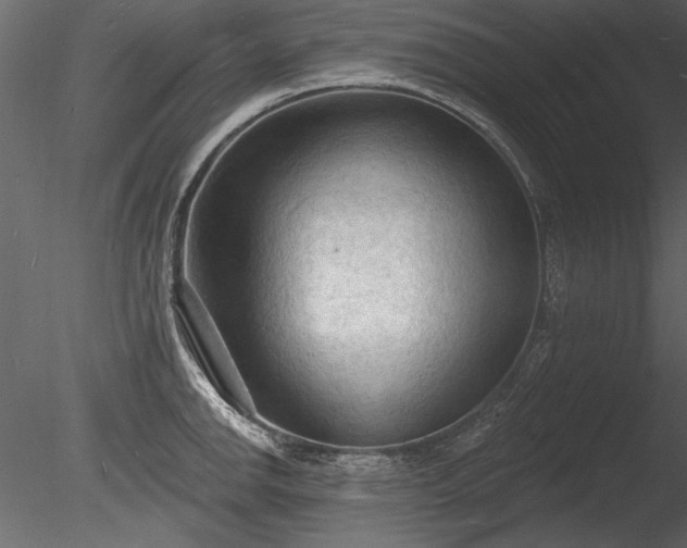 X0000085281142200703161416