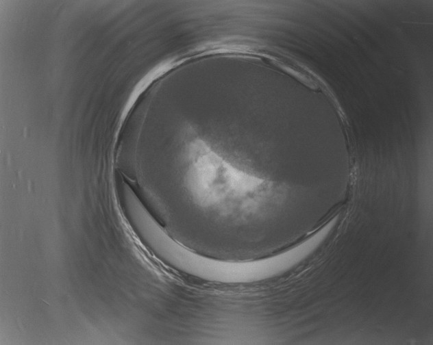 X0000085281146200703161416