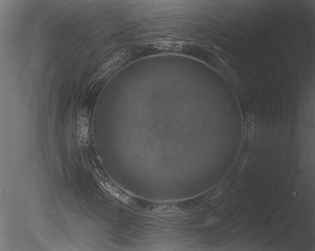 X0000085281154200703161416