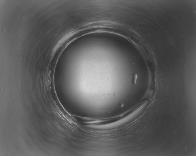 X0000085281164200703161415