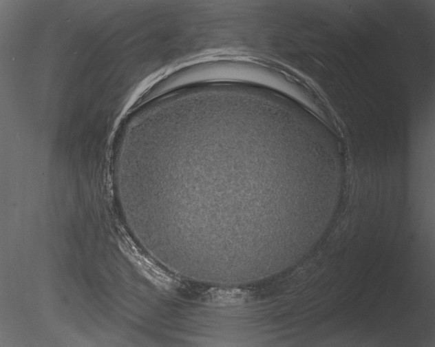 X0000085281168200703161415
