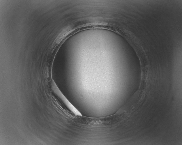 X0000085281169200703161415