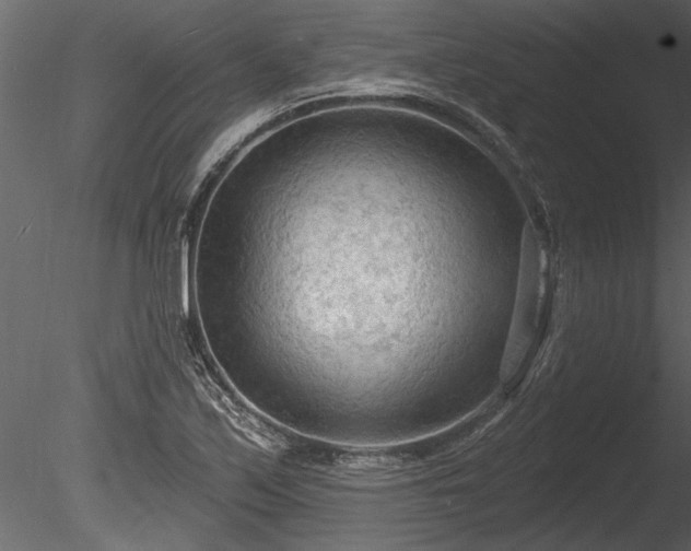 X0000085281171200703161415