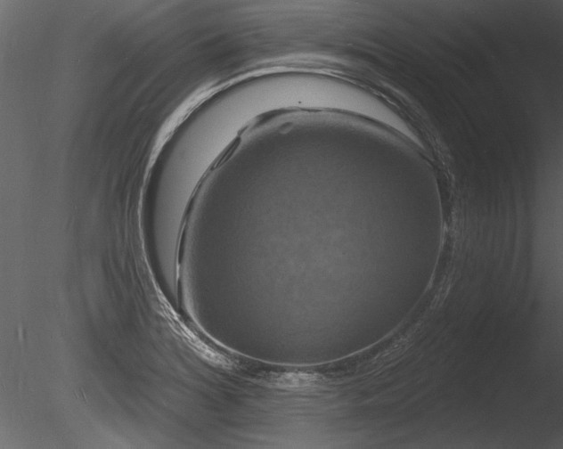 X0000085281180200703161415
