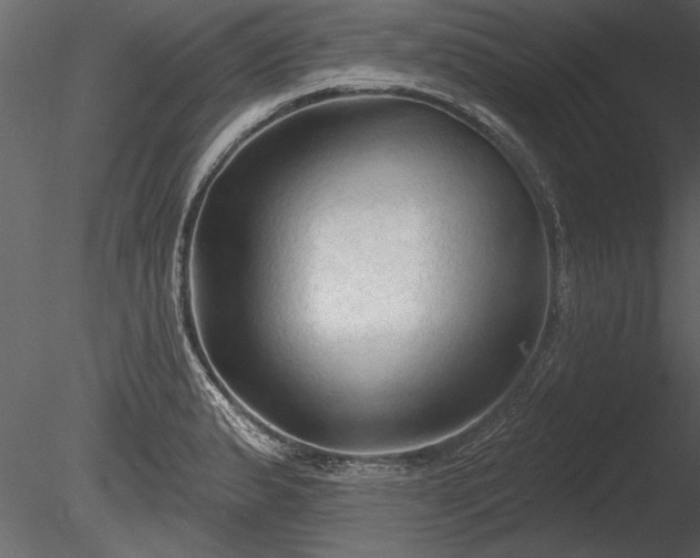 X0000085281183200703161415
