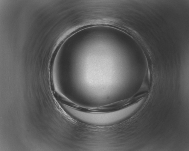 X0000085281184200703161415