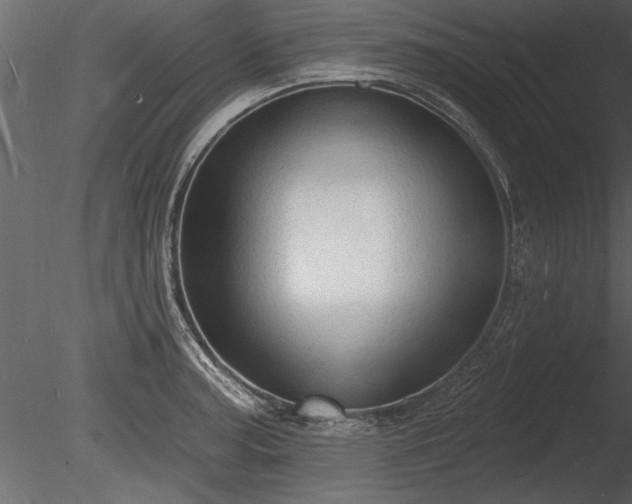 X0000085281187200703161415
