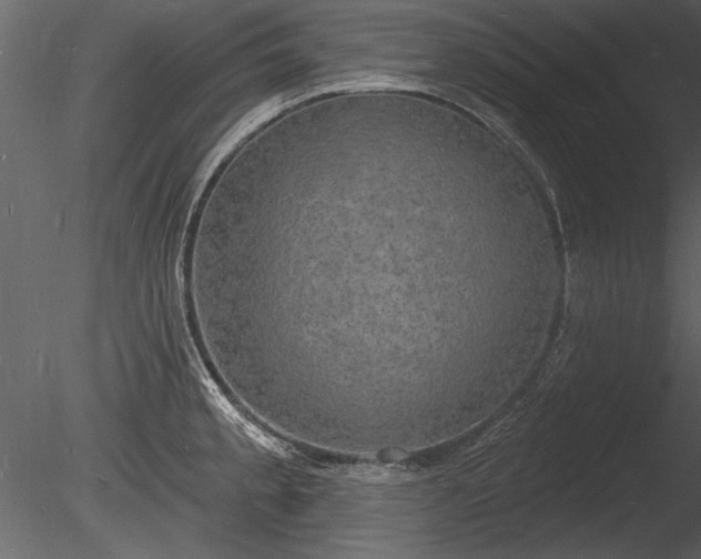 X0000085281189200703161415
