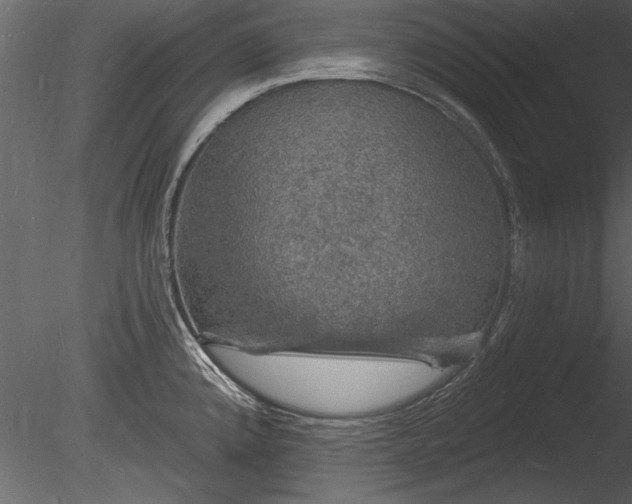 X0000085281192200703161415