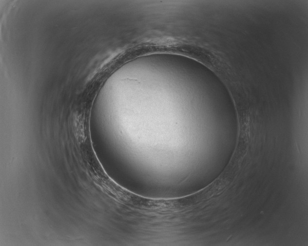 X0000085281205200703161414
