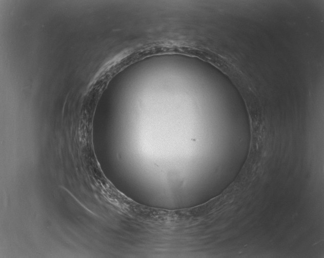 X0000085281207200703161414