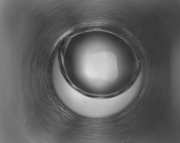 X0000085281210200703161414