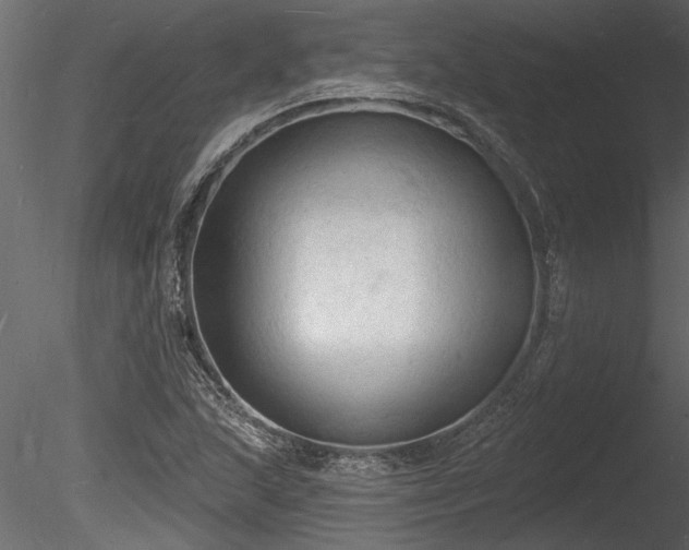 X0000085281215200703161414