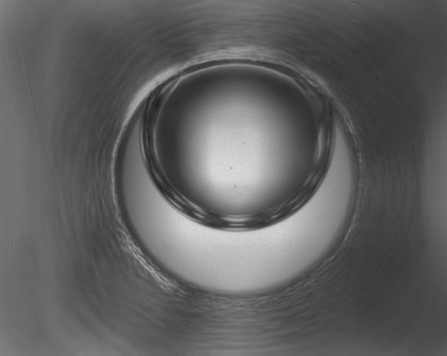 X0000085281230200703161414
