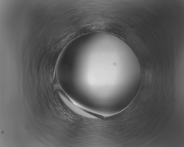 X0000085281250200703161414