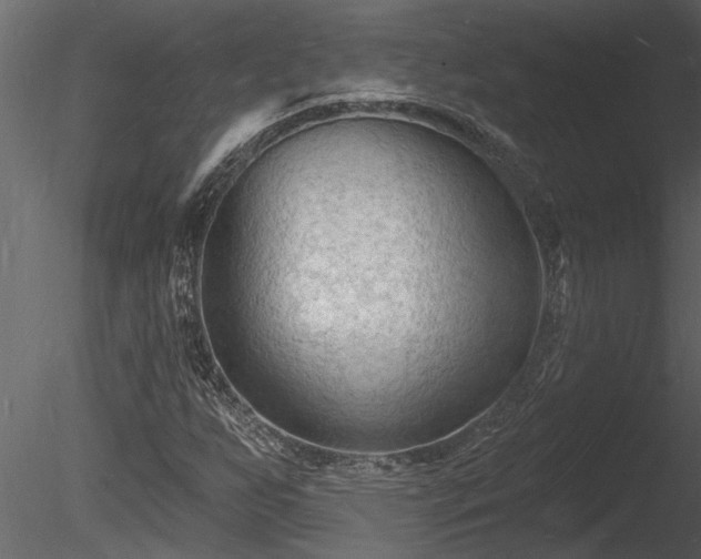 X0000085281255200703161414