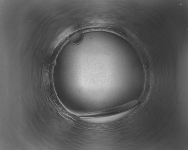 X0000085281259200703161414