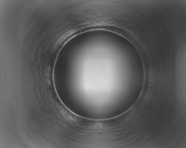 X0000085281265200703161414
