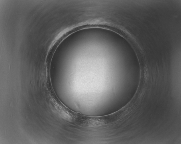 X0000085281270200703161414