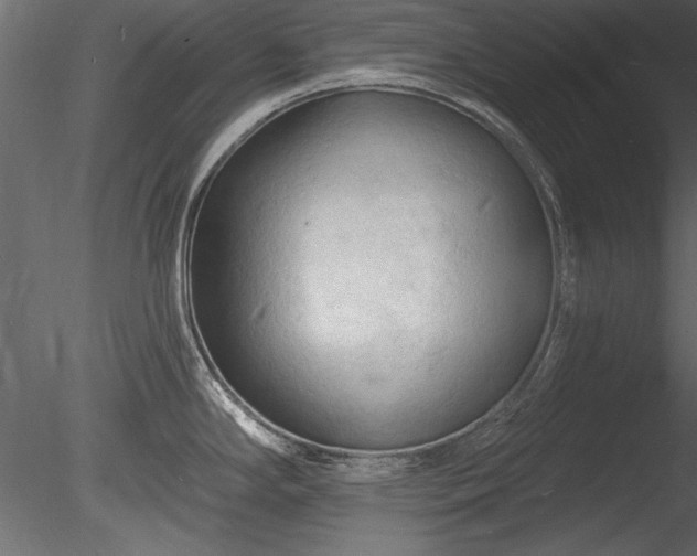 X0000085281294200703161413