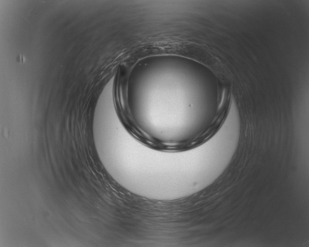 X0000085281298200703161412