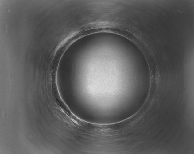 X0000085281309200703161412