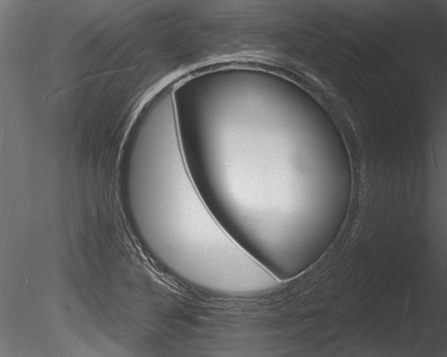 X0000085281316200703161413
