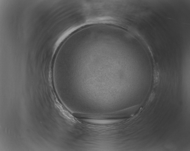 X0000085281336200703161413