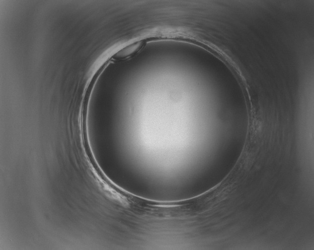 X0000085281343200703161413