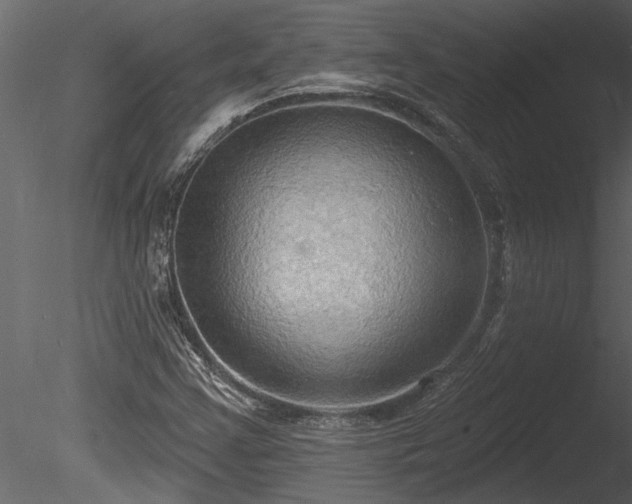 X0000085281355200703161412