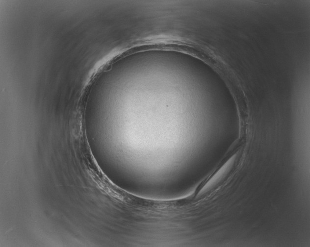 X0000085281358200703161412