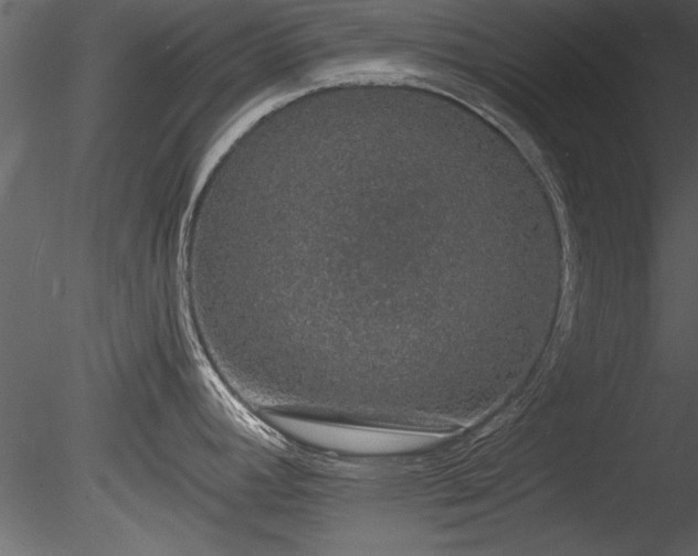 X0000085281392200703161411