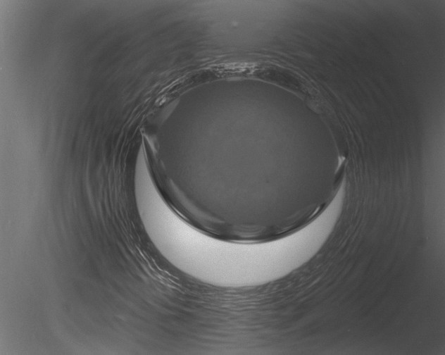 X0000085281394200703161411