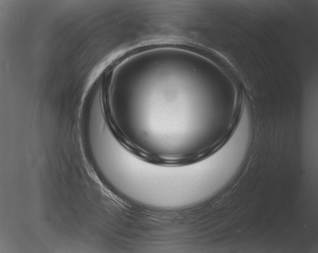 X0000085281414200703161411