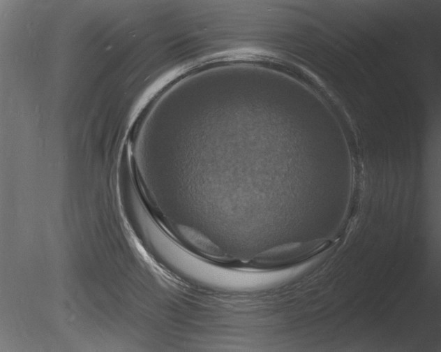 X0000085281418200703161411