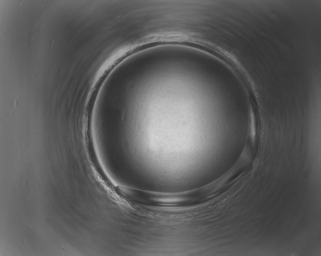 X0000085281424200703161411