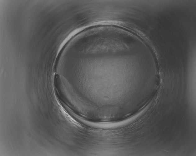 X0000085281428200703161411