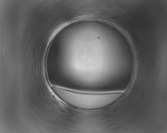 X0000085281440200703161411